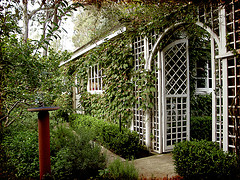 Гидропоника Гидропоника