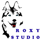 Создание и поддержка сайтов Создание и поддержка сайтов