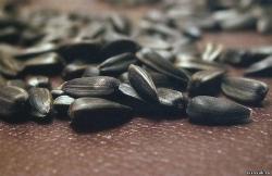 Оптовая и розничная продажа семечек. Оптовая и розничная продажа семечек.