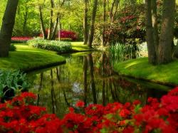 Искусственный газон в Москве | Искусственная трава в Москве.  Искусственный газон в Москве | Искусственная трава в Москве.