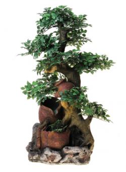 Продажа фонтанов для дома и офиса Продажа фонтанов для дома и офиса