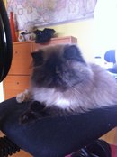 пропала ксюша  пропала ксюша