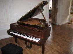 Аренда, прокат роялей. Рояль белый, коричневый, черный  Аренда, прокат роялей. Рояль белый, коричневый, черный
