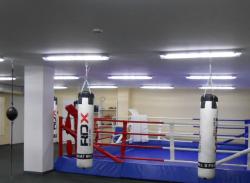 Тренировки по боксу и К-1. Тренировки по боксу и К-1.