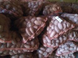  Молодой картофель 2015 года с наших полей, цена 14 руб.