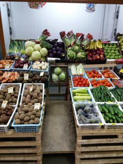  Продажа овощей и фруктов, оптом и в розницу