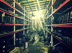 Разборка Пежо, Ситроен, Рено, Фольксваген, Шкода Разборка Пежо, Ситроен, Рено, Фольксваген, Шкода