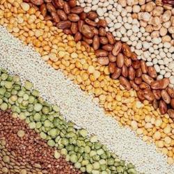 Крупы Оптом от Производителя! ГОСТ! По доступным ценам. Доставка РФ. Скидки. Крупы Оптом от Производителя! ГОСТ! По доступным ценам. Доставка РФ. Скидки.