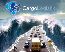  Карго транспортная компания