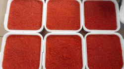 Икра красная. Вылов осень 2017г. Икра красная. Вылов осень 2017г.