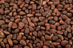 Продажа кедрового ореха. Продажа кедрового ореха.