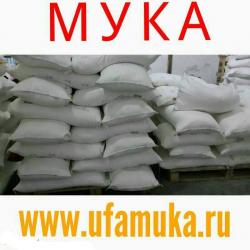 Мука хлебопекарная, пшеничная, в/с, 1с, оптом по низкой цене Мука хлебопекарная, пшеничная, в/с, 1с, оптом по низкой цене