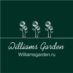 Георгины пророщенные клубни Красный гигант Георгины пророщенные клубни Красный гигант