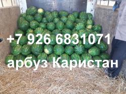 Арбузы опт или мелкий опт Арбузы опт или мелкий опт