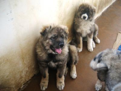 ПРОДАМ НЕДОРОГО  ПРОДАМ НЕДОРОГО