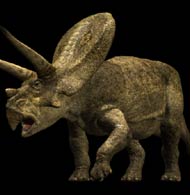 3D моделирование 3D моделирование